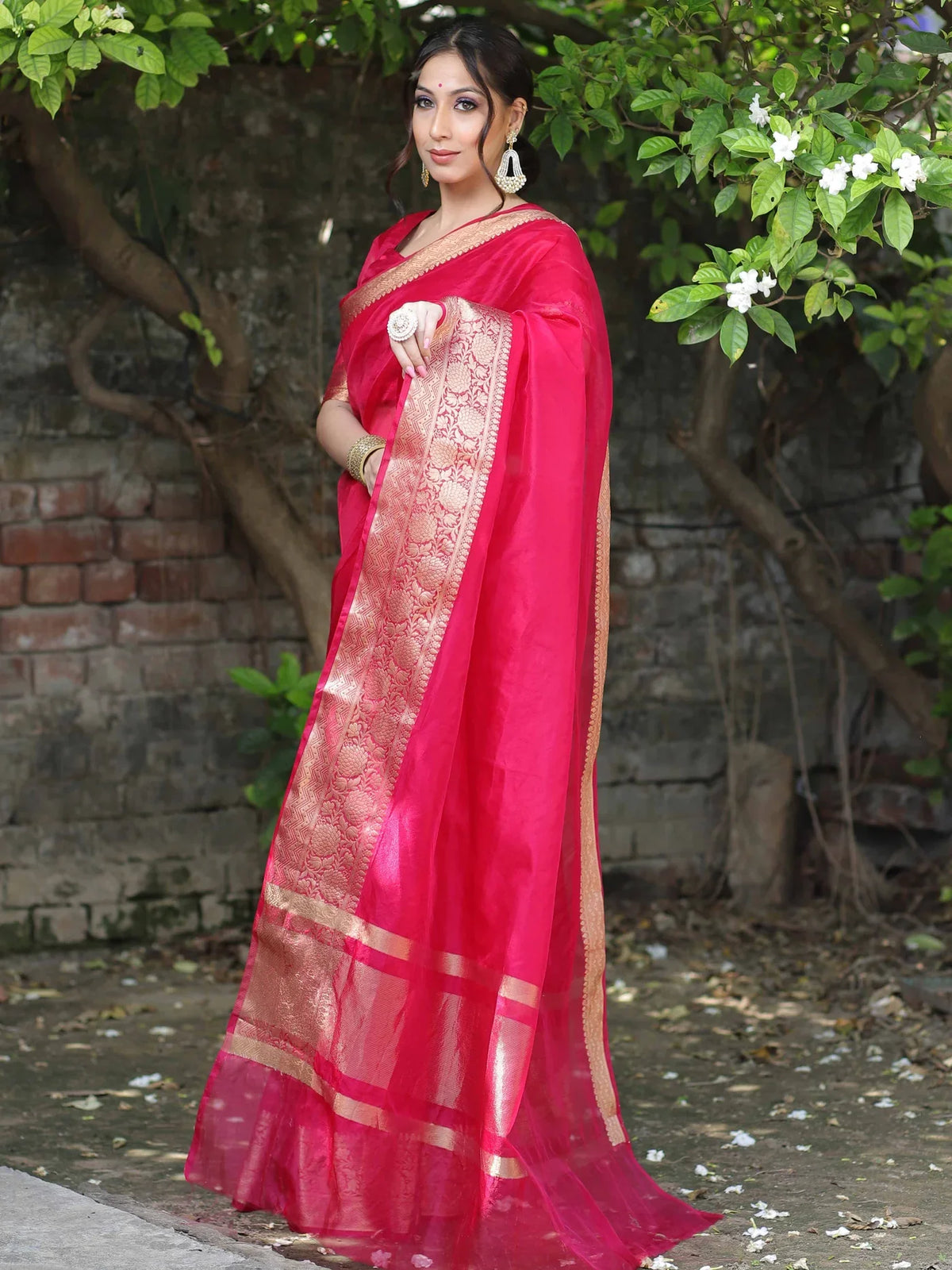 Premium Red Organza Silk Saree with Elegant Golden Woven Border
